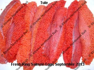 Fresh Salmon Egg, Fresh Salmon Roe, Xtreme Northwest Bait Co